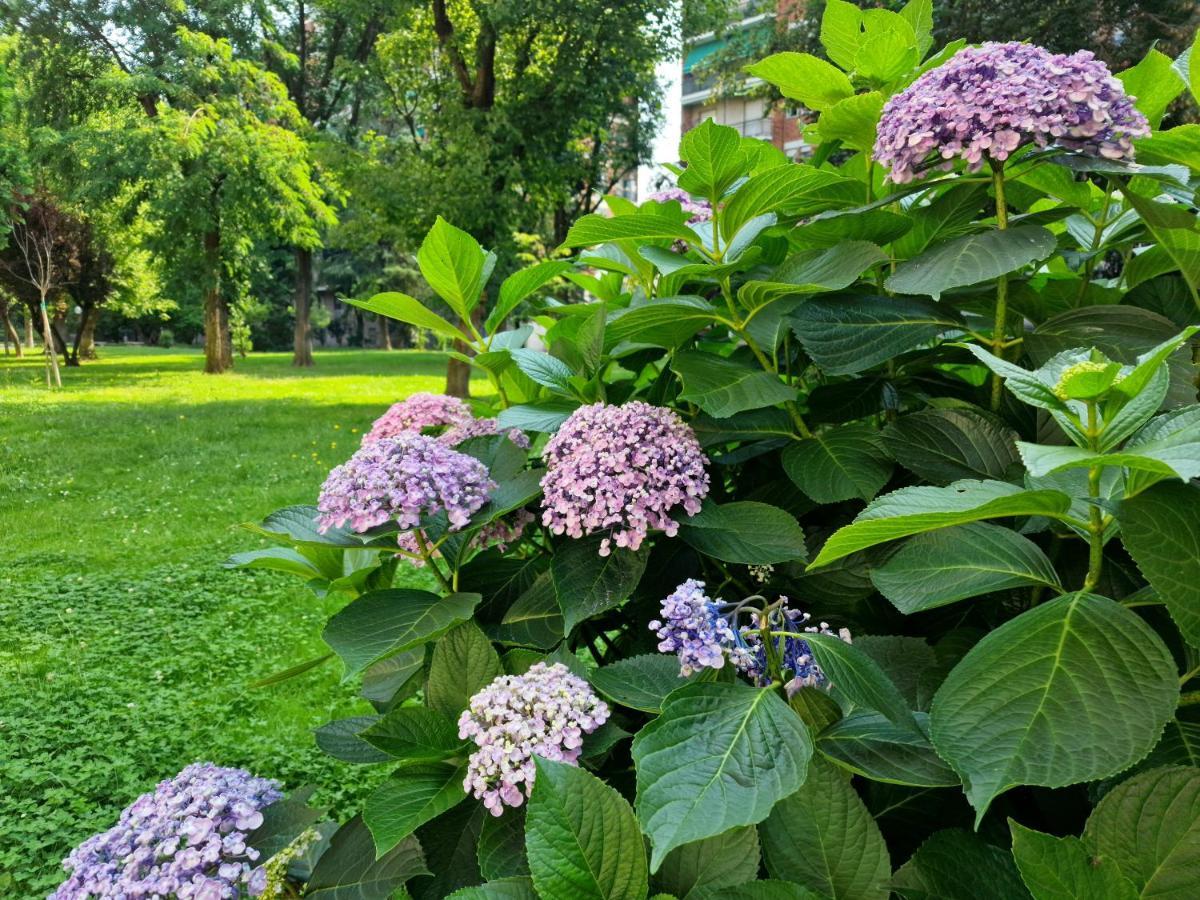 Апартаменты Giardino Sul Naviglio Милан Экстерьер фото